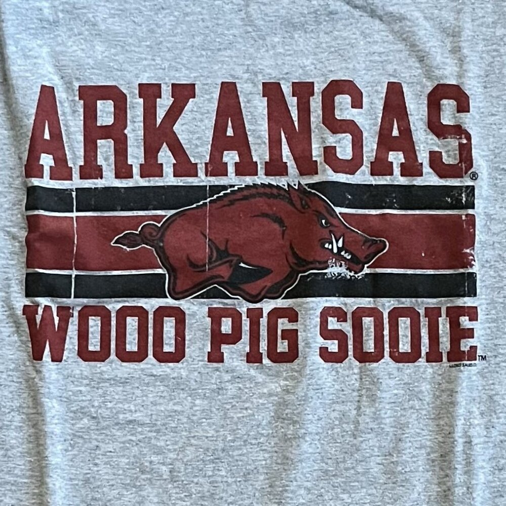 University of Arkansas Razorbacks Gray Tee - L